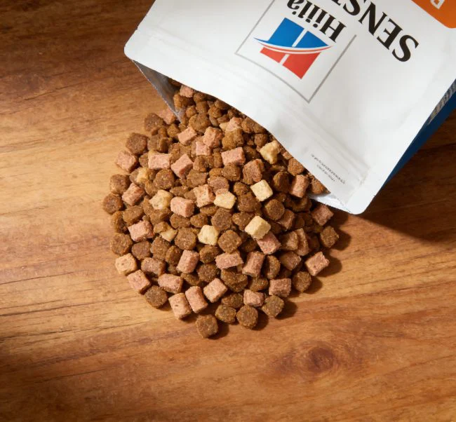 cat food for food sensitivities practical tips image