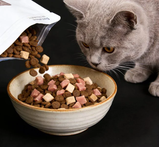 cat food for thyroid issues comparison image
