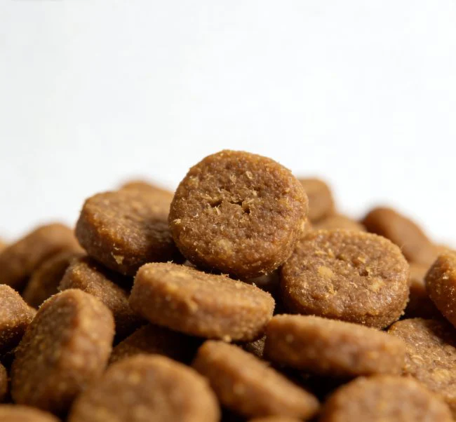 cat food for urinary crystals best practice example