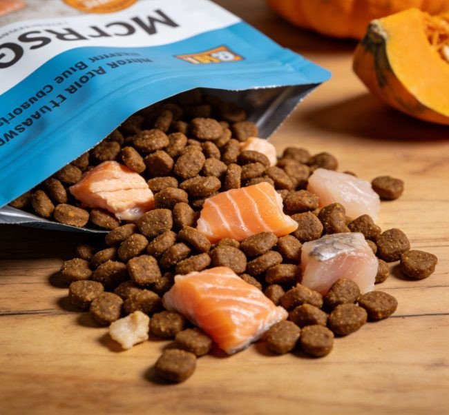 cat food for ibd: A Veterinarian-Approved Guide to Nutritional Management, Food Trials, and Long-Term Care