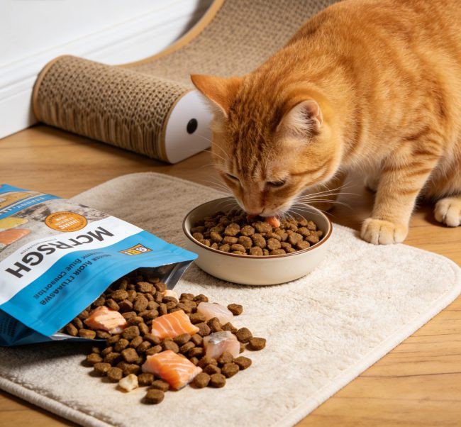cat food for ibd effect comparison