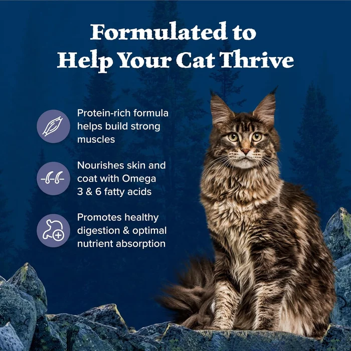 Blue Buffalo Wilderness High-Protein Cat Food - Image 6
