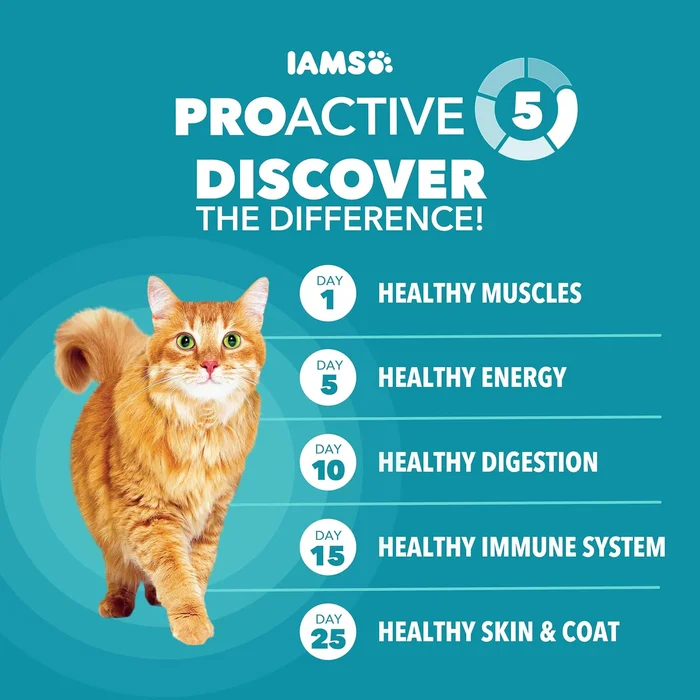 IAMS Indoor Weight & Hairball Cat Food - Image 4