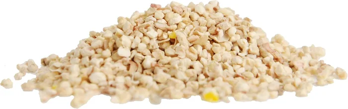 TERRO Ant Killer Plus Multi-Purpose Insect Control for Outdoors - Kills Fire Ants, Fleas, Cockroaches, and Other Crawling Insects - 3lb Shaker Bag - T901-6