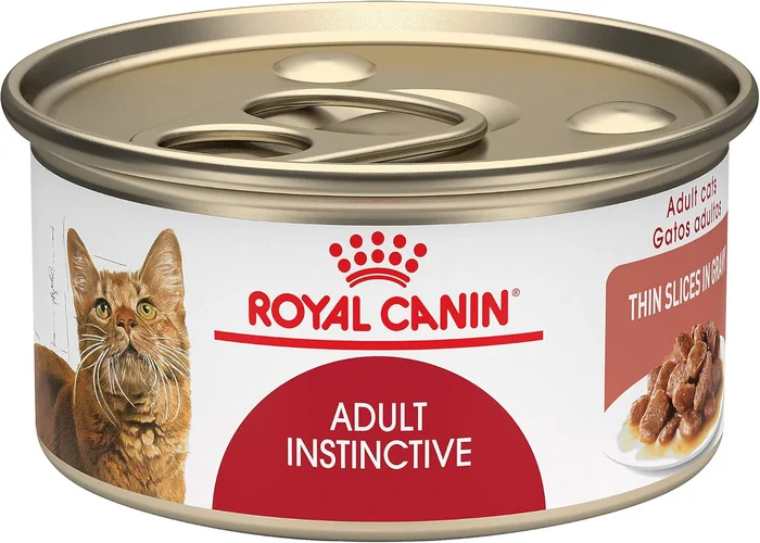12 Types of Cat Food A Complete Guide for Cat Owners