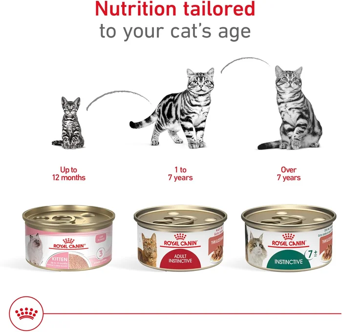 Royal Canin Feline Health Nutrition Adult Instinctive Adult Thin Slices in Gravy Cat Food, 3 oz (Pack of 24)