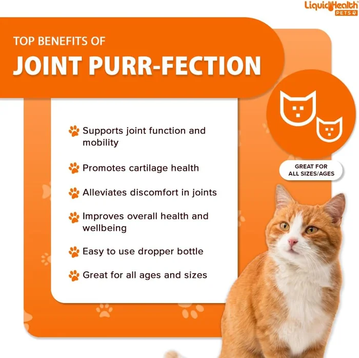 LIQUIDHEALTH Pets Liquid Cat Glucosamine Joint Purr-Fection - Hip & Joint Health Relief Support, Chondroitin Feline Droppers for Senior Older Adult Cats & Kittens - Made in The USA (2 oz)