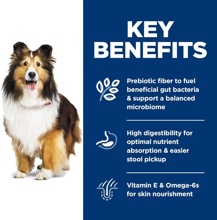 Hill 's Science Diät Sensitive Magen & Haut, Erwachsene 1 - 6, Magen & Haut Empfindlichkeit Unterstützung, Trockene Hundefutter, Huhn Rezept, 30 lb Tasche