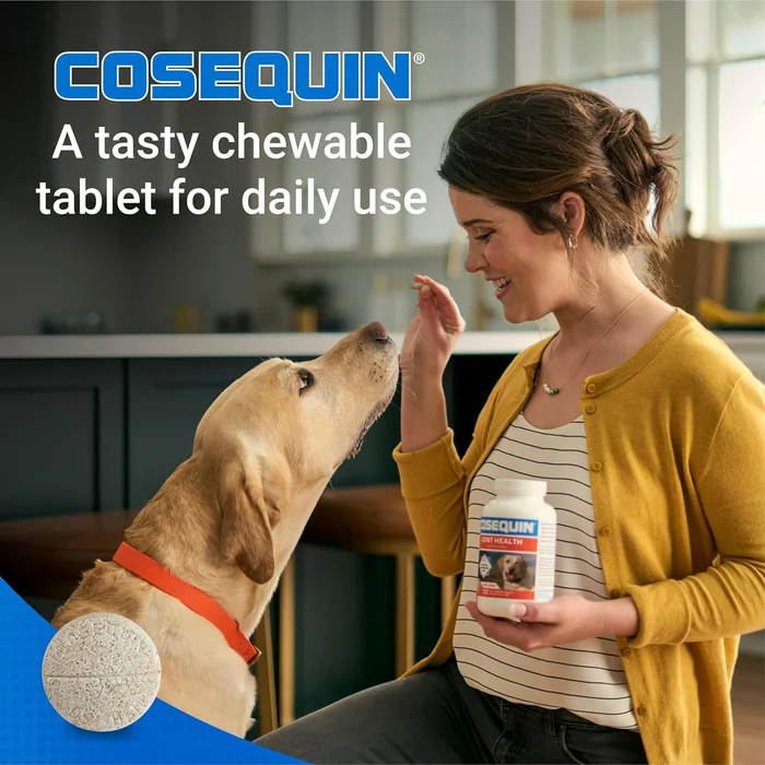 Nutramax Cosequin for Dogs Joint Health Supplement, Contains Glucosamine for Dogs, Plus Chondroitin and MSM, Supports Healthy Joints, Chewable Tablets, 60 Count