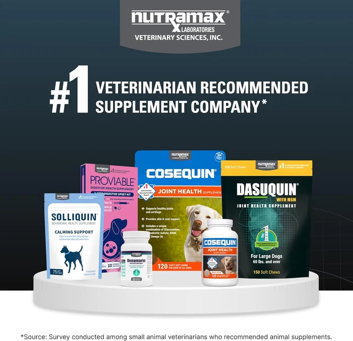 Nutramax Dasuquin for Small to Medium Dogs, Joint Health Supplement, Contains Glucosamine for Dogs, Plus Chondroitin, ASU, MSM and More, Supports Healthy Joints, Soft Chews, 84 Count