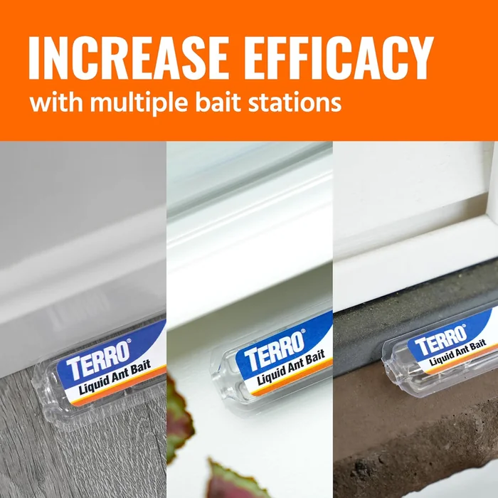 TERRO Ant Killer Bait Stations T300B - Liquid Bait to Eliminate Ants - Bait System - 12 Count Stations for Effective Indoor Ant Control
