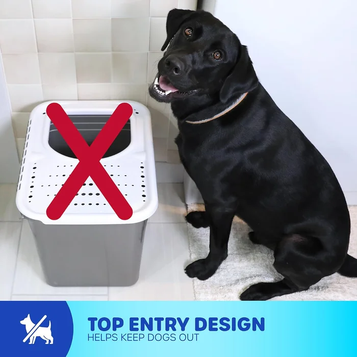 Petmate Enclosed Cat Litter Boxes with Hinged Lid and Wide Top Entry Opening, Cat Litter Box Enclosure with Filter Lid, Made in USA, Scoop not Included