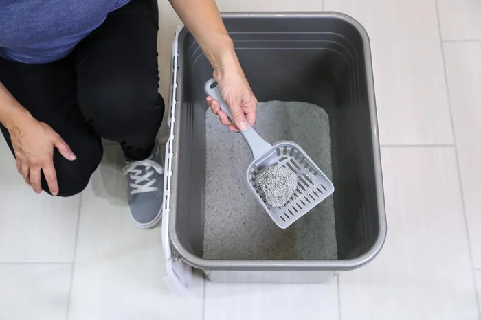 Petmate Enclosed Cat Litter Boxes with Hinged Lid and Wide Top Entry Opening, Cat Litter Box Enclosure with Filter Lid, Made in USA, Scoop not Included