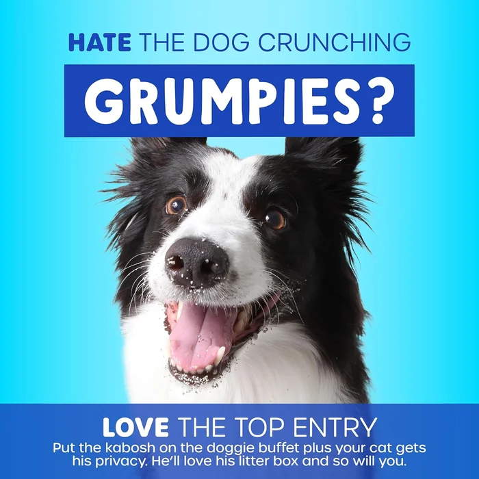 Petmate Enclosed Cat Litter Boxes with Hinged Lid and Wide Top Entry Opening, Cat Litter Box Enclosure with Filter Lid, Made in USA, Scoop not Included