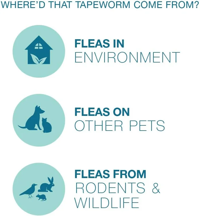 Elanco Tapeworm Dewormer (praziquantel tablets) for Dogs, 5 Count (Pack of 1) Praziquantel Tablets for Dogs and Puppies 4 Weeks and Older