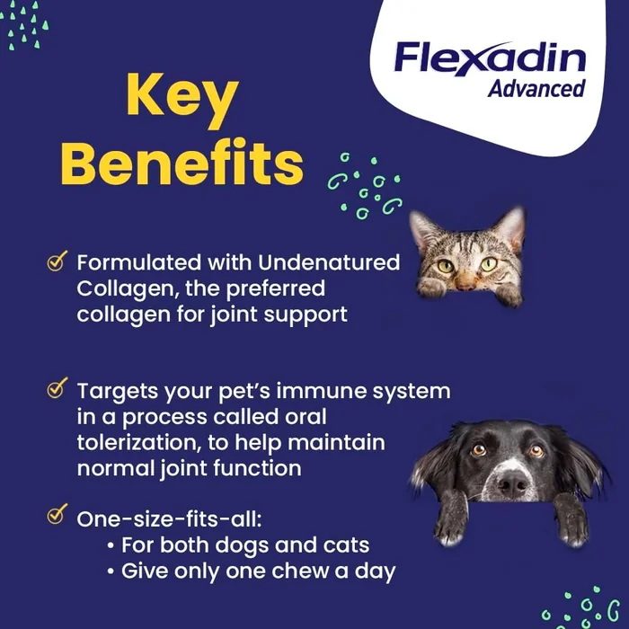 Vetoquinol Flexadin Advanced Hip and Joint Supplement with Undenatured Collagen for Dogs, One Chew a Day Hip and Joint Support Chew for Dogs and Cats, Clinically Proven Vet-Approved Formula, 60 Chews