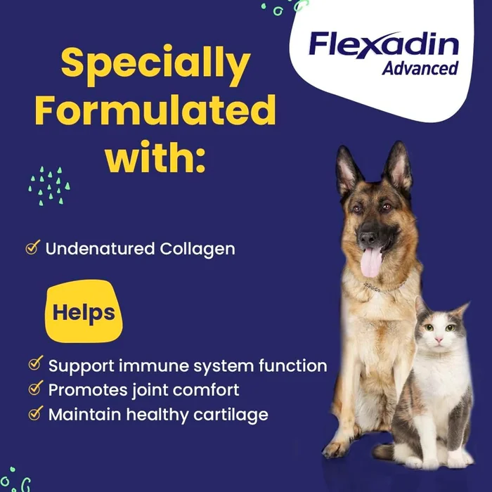 Vetoquinol Flexadin Advanced Hip and Joint Supplement with Undenatured Collagen for Dogs, One Chew a Day Hip and Joint Support Chew for Dogs and Cats, Clinically Proven Vet-Approved Formula, 60 Chews