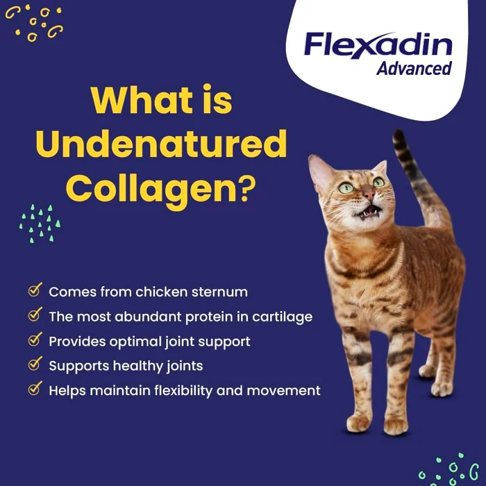 Vetoquinol Flexadin Advanced Hip and Joint Supplement with Undenatured Collagen for Dogs, One Chew a Day Hip and Joint Support Chew for Dogs and Cats, Clinically Proven Vet-Approved Formula, 60 Chews