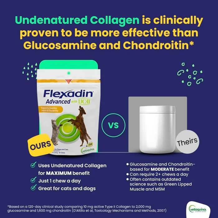 Vetoquinol Flexadin Advanced Hip and Joint Supplement with Undenatured Collagen for Dogs, One Chew a Day Hip and Joint Support Chew for Dogs and Cats, Clinically Proven Vet-Approved Formula, 60 Chews