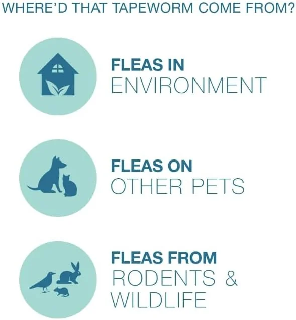 Elanco Tapeworm Dewormer (comprimés de praziquantel) pour les chats et les chatons 6 semaines et plus, 3 - compte