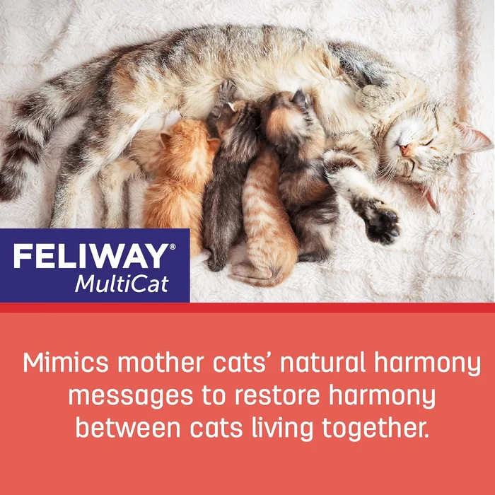 FELIWAY MultiCat 30 Day Cat Calming Plug In Pheromone Diffuser Starter Kit, 48ml - Helps Reduce Conflicts and Signs of Tension in Multi-Cat Households