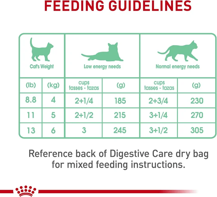Royal Canin Feline Care Nutrition Digestive Care Adult Thin Slices in Gravy Cat Food, 3 oz (Pack of 12)