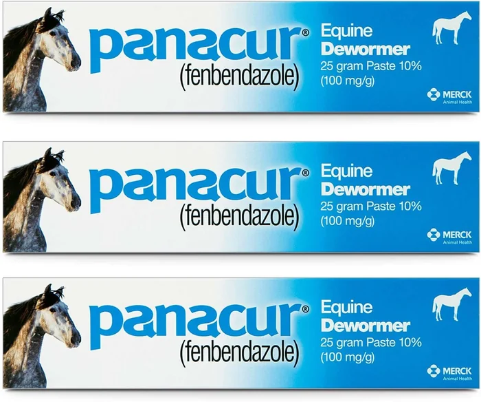 Panacur (3 Pack) Paste de cheval 10%, 100mg Chaque
