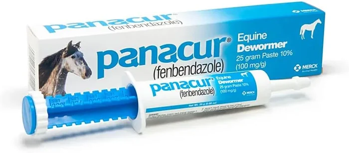 Panacur (3 Pack) Paste de cheval 10%, 100mg Chaque