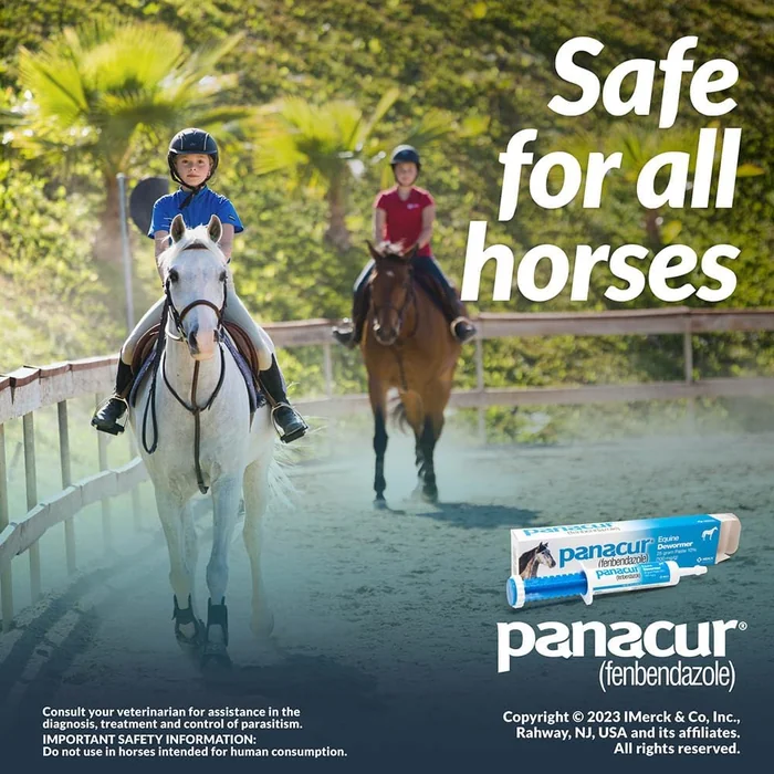 Panacur (3 Pack) Paste de cheval 10%, 100mg Chaque