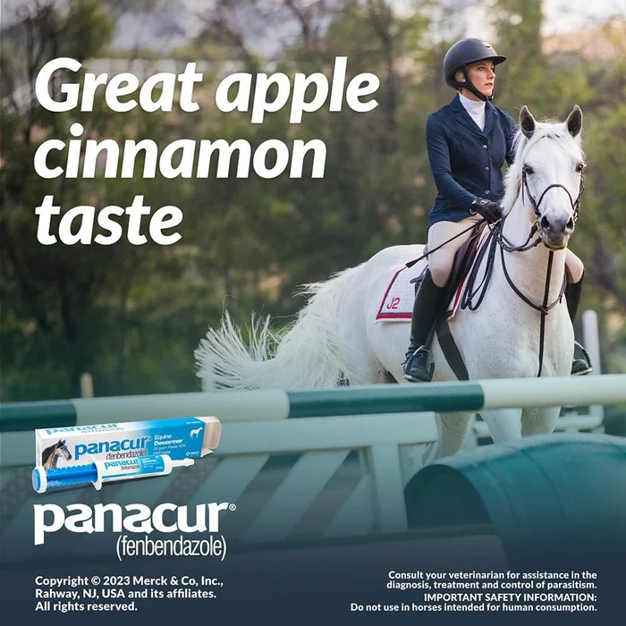 Panacur (3 Pack) Paste de cheval 10%, 100mg Chaque