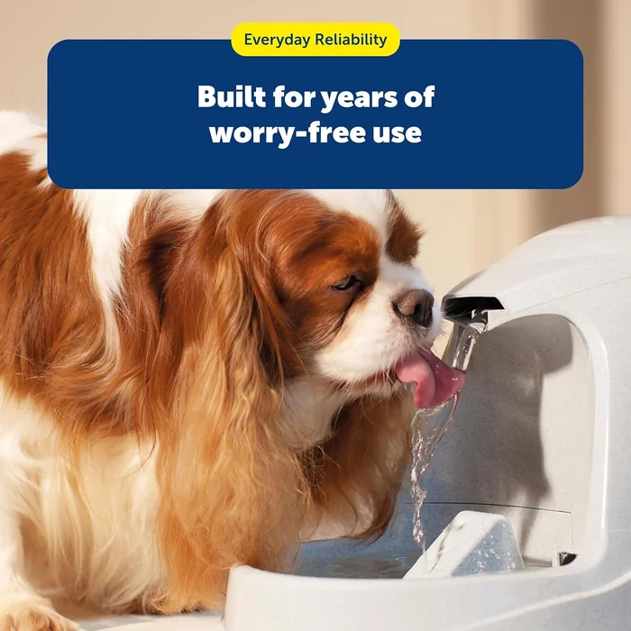 PetSafe Drinkwell Fountain Premium Activated Carbon Filters - Better Hydration Choice - Long-Lasting Purity - Odor-Free Drinking - Water Purification Filter - 12 Pack