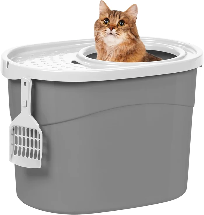 10 Simple & Effective Ways to Keep Your Cat’s Litter Box Area Clean