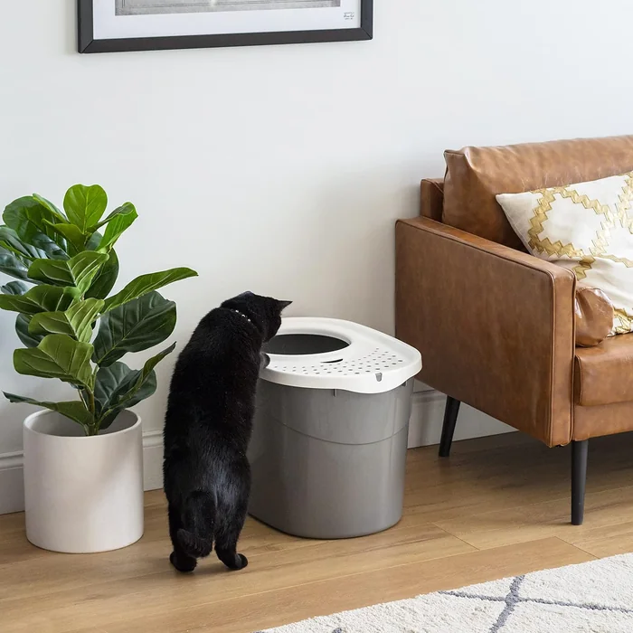 IRIS USA Top Entry 猫砂箱,大号封闭猫砂盖和勺子,防狗,猫砂箱,灰色/白色