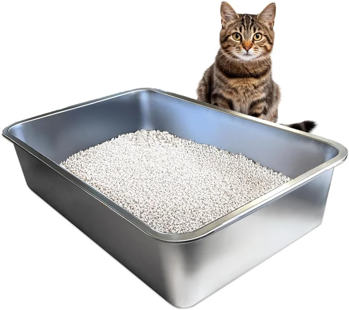 11 Best Cat Litter Boxes of 2025 Expert-Tested Picks for Every Cat