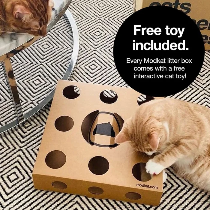 Modkat ® XL Litter Box, Top o Front-Entry Configurable, Full Height Seamless Base, Reusable Litter Liners, Tamizado Litter Scoop, 2X Bamboo Carbon Filters - Blanco