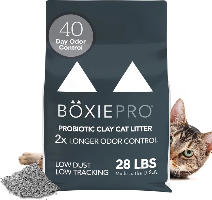6 Cat Litters That Work Best With the Litter-Robot