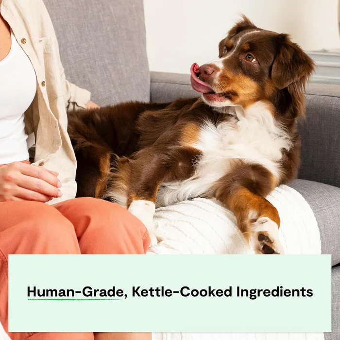 Open Farm Rustic Stews Wet Dog Food, Grain-Free, Complete & Balanced with Human-Grade Ingredients, Humanely-Raised Meat & Bone Broth, Homestead Turkey Recipe, 12.5oz Packs (Case of 12)