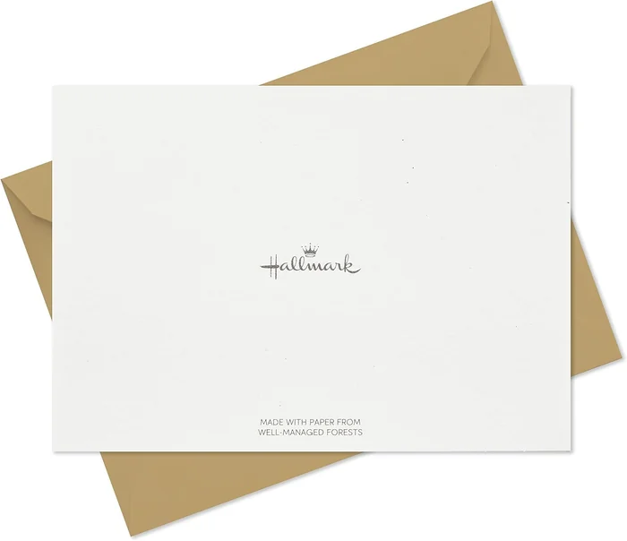 Hallmark Blank Cards Assortment, Dogs and Cats (36 Assorted Note Cards with Envelopes)