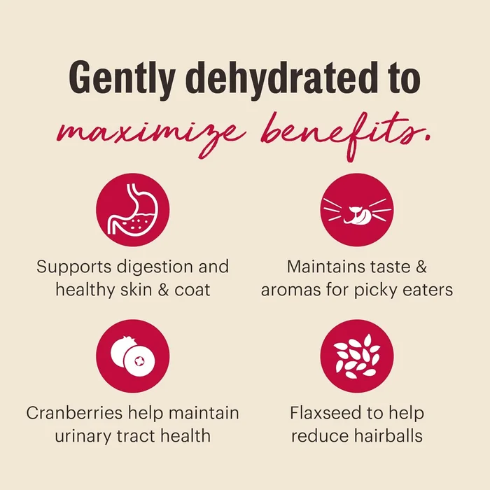 The Honest Kitchen Dehydrated Grain Free Chicken Cat Food 4 Pound (Pack of 1)