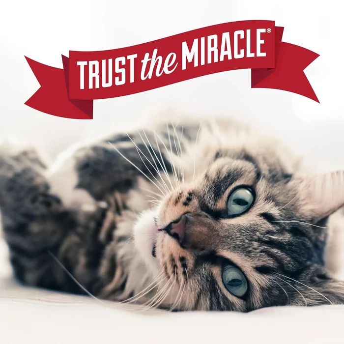 Nature 's Miracle Advanced Platinum Cat Pet Block Repellent Spray, 8 Unzen, Indoor Training Aid für Katzen