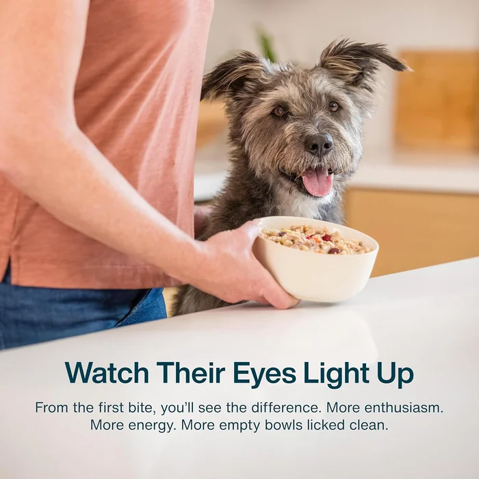 JustFoodForDogs Frozen Fresh Dog Food, Complete Meal or Topper, Fish & Sweet Potato Human Grade Recipe, 18 oz (Pack of 7)