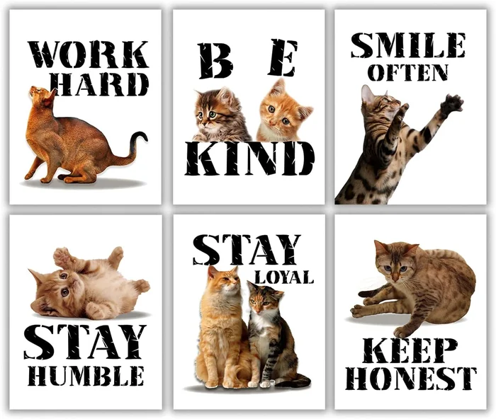MTL HOE Motivational Cat Art Print, Cat Wall Art Poster, Funny & Cute Animal Inspirational Quotes Painting Poster For Pet Lovers Kid Bedroom Playroom Decor Set Of 6(8”X10”,Unframed)