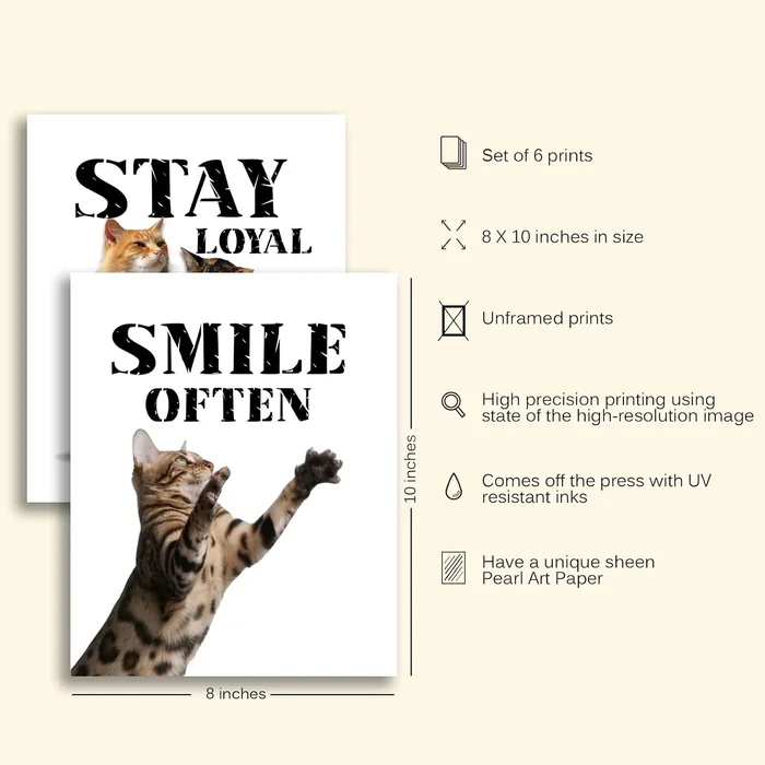 MTL HOE Motivational Cat Art Print, Cat Wall Art Poster, Funny & Cute Animal Inspirational Quotes Painting Poster For Pet Lovers Kid Bedroom Playroom Decor Set Of 6(8”X10”,Unframed)