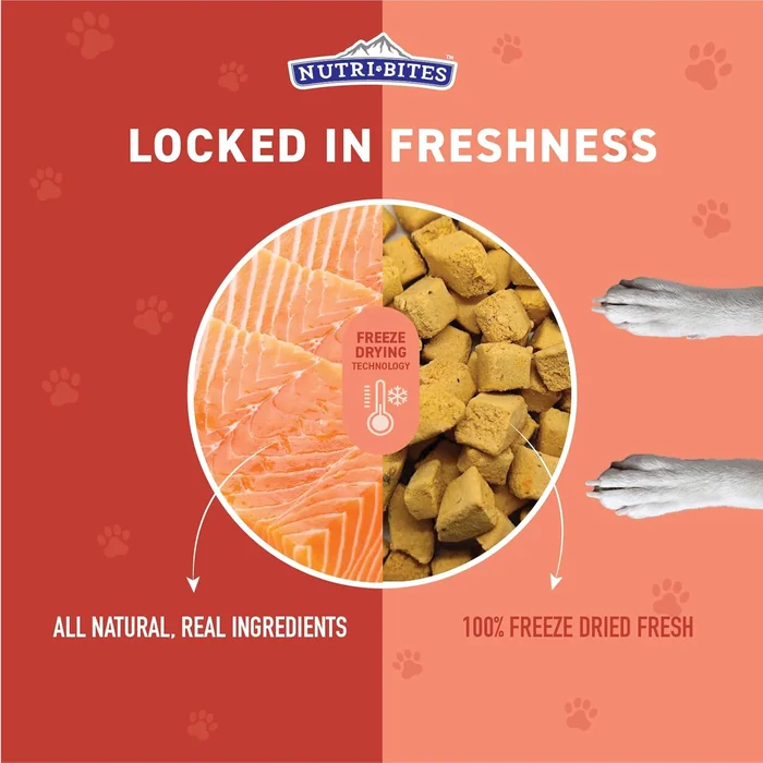 Nutri Bites 凍結乾燥サーモン犬 & 猫のトリート|健康なペットトレーニングのトリートメントやフードトッパー|すべての自然、 1 つの単一の動物タンパク質、高タンパク質|プレミアムバルクバリューパック、 14 oz