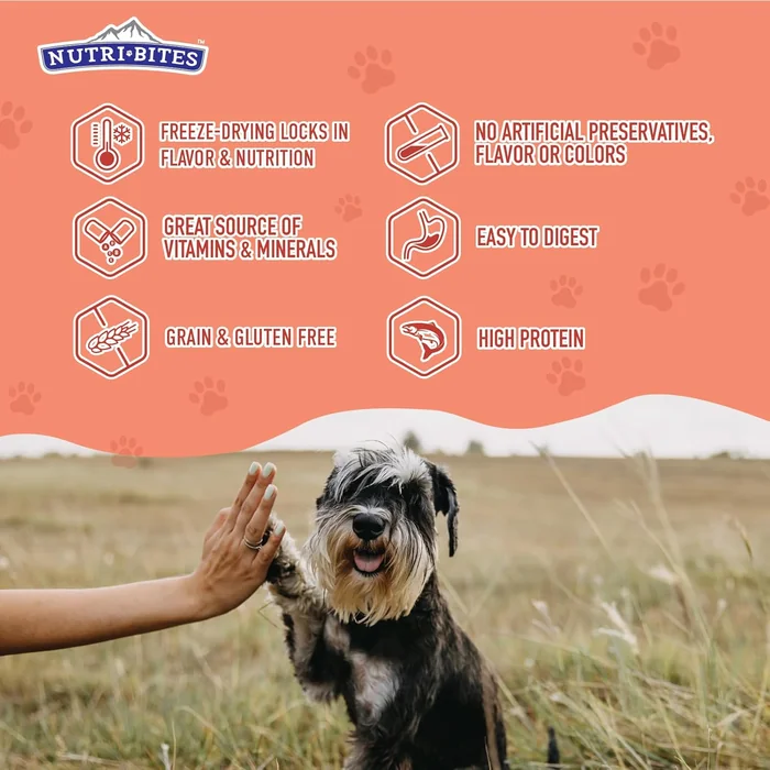 Nutri Bites 凍結乾燥サーモン犬 & 猫のトリート|健康なペットトレーニングのトリートメントやフードトッパー|すべての自然、 1 つの単一の動物タンパク質、高タンパク質|プレミアムバルクバリューパック、 14 oz