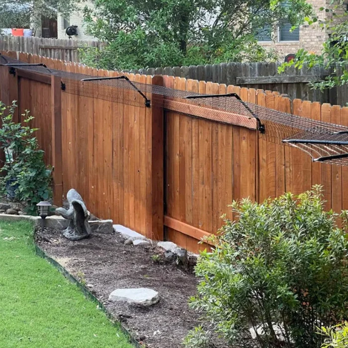 10 Simple Effective Ways to Cat Proof Your Fence 2025 Guide