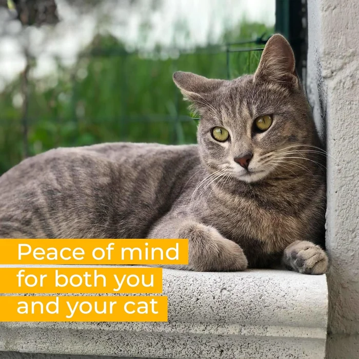 猫のための PURR...FECT フェンス変換システム — 既存の屋外フェンシングのための猫の証拠鋼製のトッパー、木材、チェーンリンク、金属、レンガ、およびビニルのフェンスのための封じ込め障壁、 5 '高さまたはより高い、 50 フィートキット