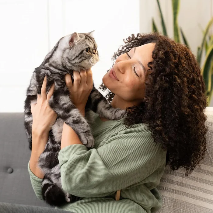 Open Farm, Freeze Dried Raw Cat Food, Complete Meal Morsels or Cat Treats with 92% Meat, Organs & Bone, Harvest Chicken Recipe, 9oz Bag