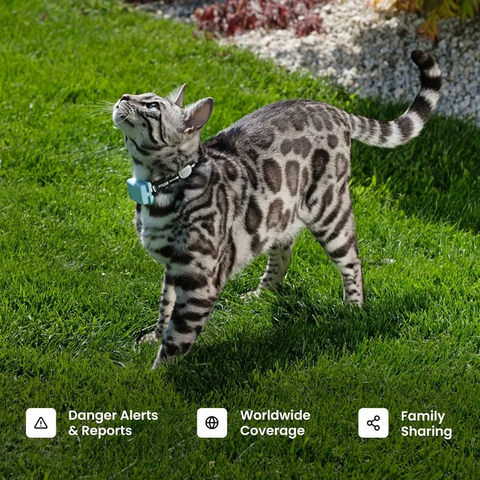 Tractive Smart Cat GPS Tracker | Real-Time Location & Wellness Monitoring for Cats 6.5 lbs+ | Territory & Location History | Up to 5-Day Battery | Breakaway Collar Included (Dark Blue)