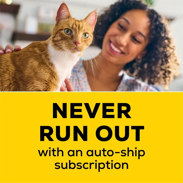 Purina Tidy Cats Free and Clean Unscented Cat Litter - 38 lb. Box